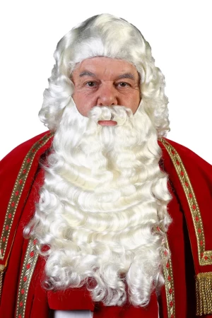 Sinterklaas baard carnavalskleding Kopen? Fop Feestwinkel